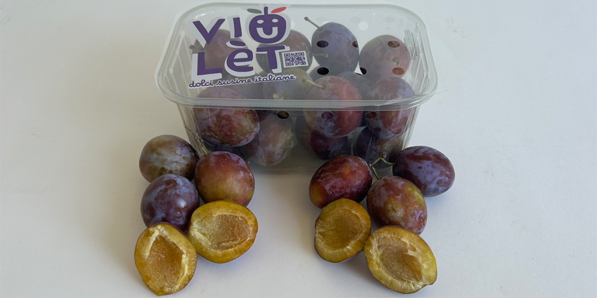 Viulet, la susina che riscrive le regole del gusto